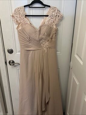 Elegant Lace Cap Sleeve Evening Dress in Beige  Champagne size 12 event NWT